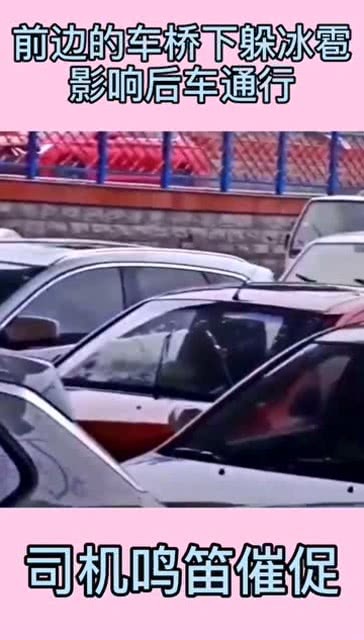 桥下躲冰雹致堵车该不该担责