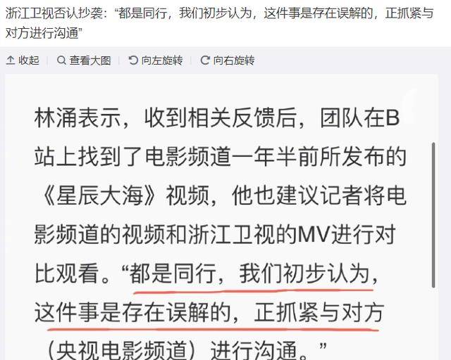 董袭莹入学资格造假、抄袭剽窃