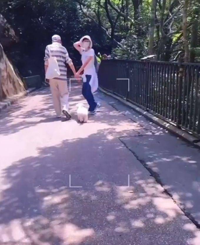 爸爸出门遛狗 女儿挥手告别被无视