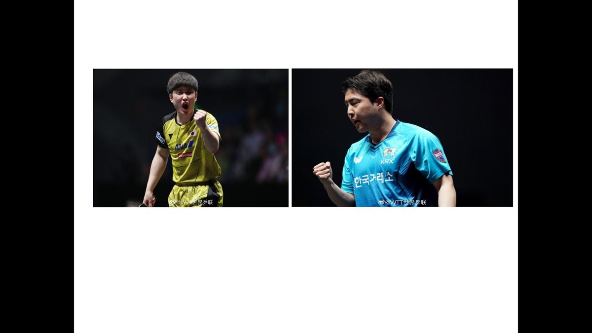 张本智和4-1林仲勋 晋级64强