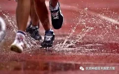破纪录高温来了