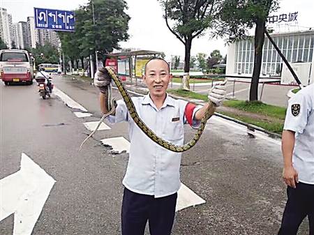 长蛇爬进收费站岗亭 收费员惊吓逃离