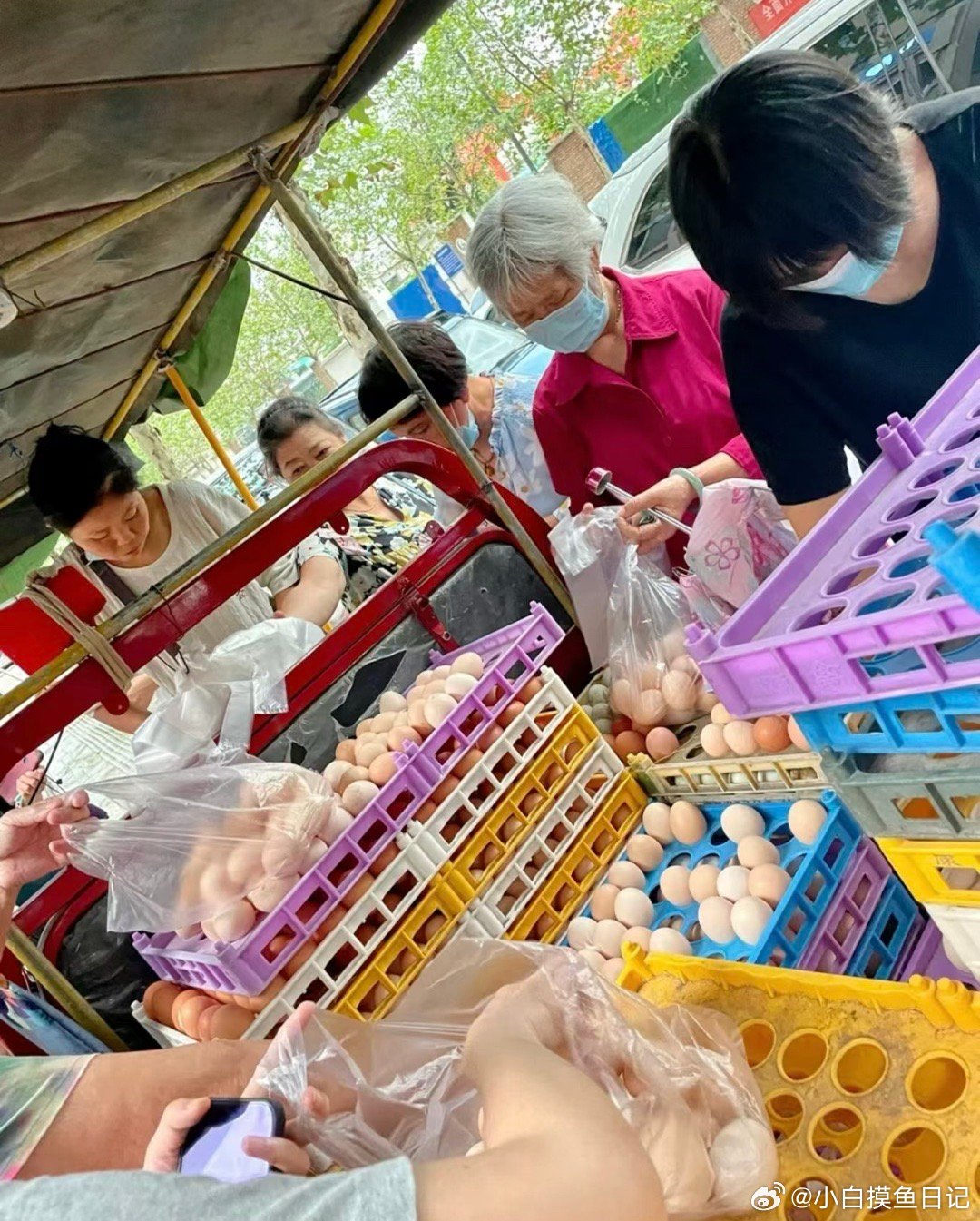 领鸡蛋成了被执行人