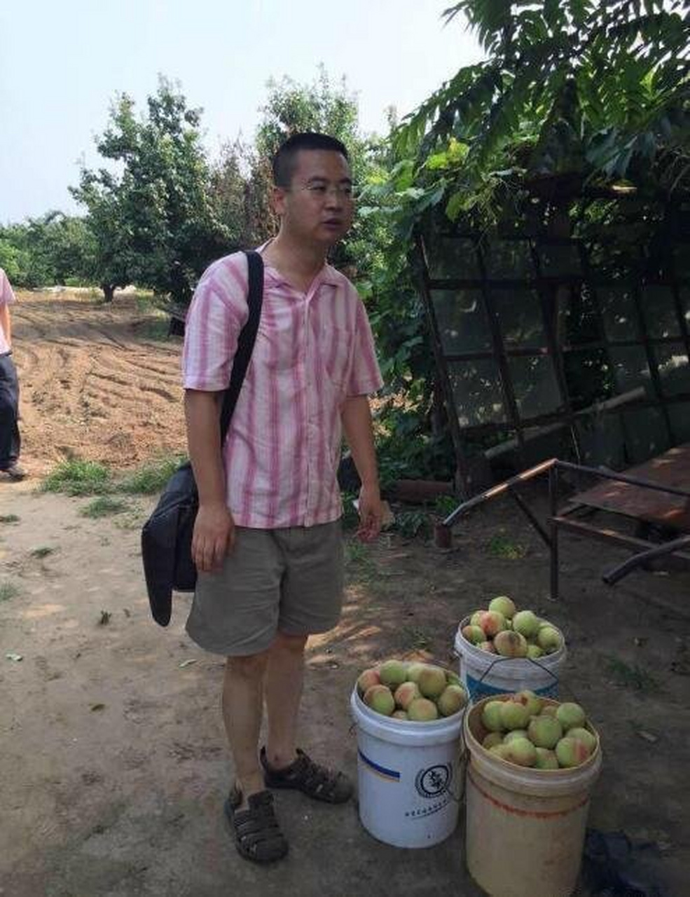 偷杏被抓反责备老板