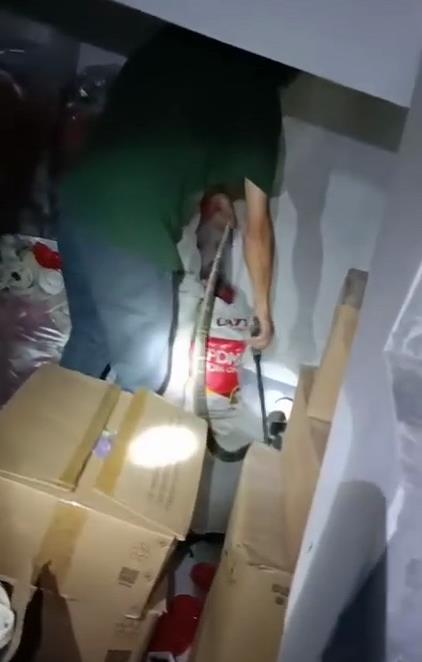 长蛇爬进收费站岗亭 收费员惊吓逃离