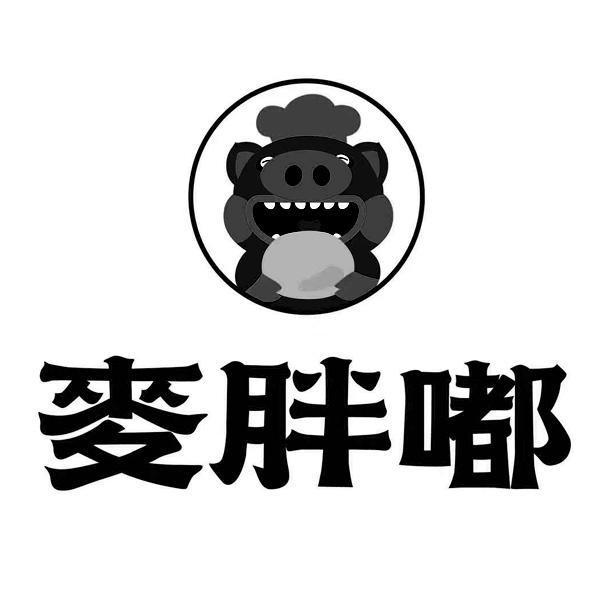胖都来股东申请盈都来肥都来商标