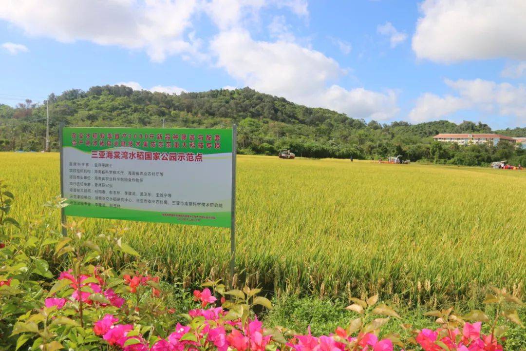 天价耳环事件真是公众集体仇富吗