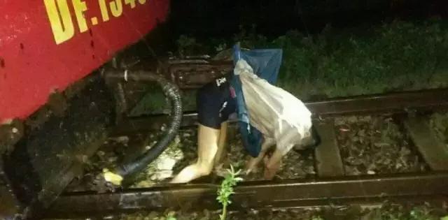 火车顶惊现流血男尸