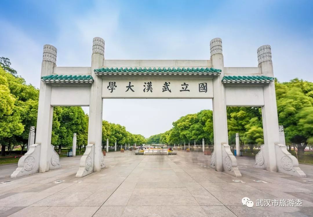 武大回应校门被淹1米深：每年都这样