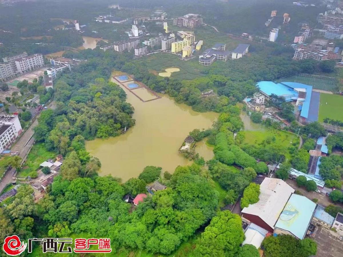 特大暴雨真的从两广转移到湖南湖北了吗？最新动态解析！