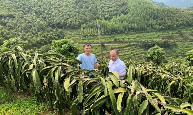 金融“活水”如何精准浇灌小微企业？破解融资难题的5大关键策略！