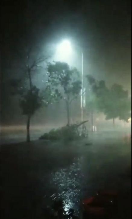 震惊！河南冰雹致小麦颗粒无收？假的！真相究竟如何？
