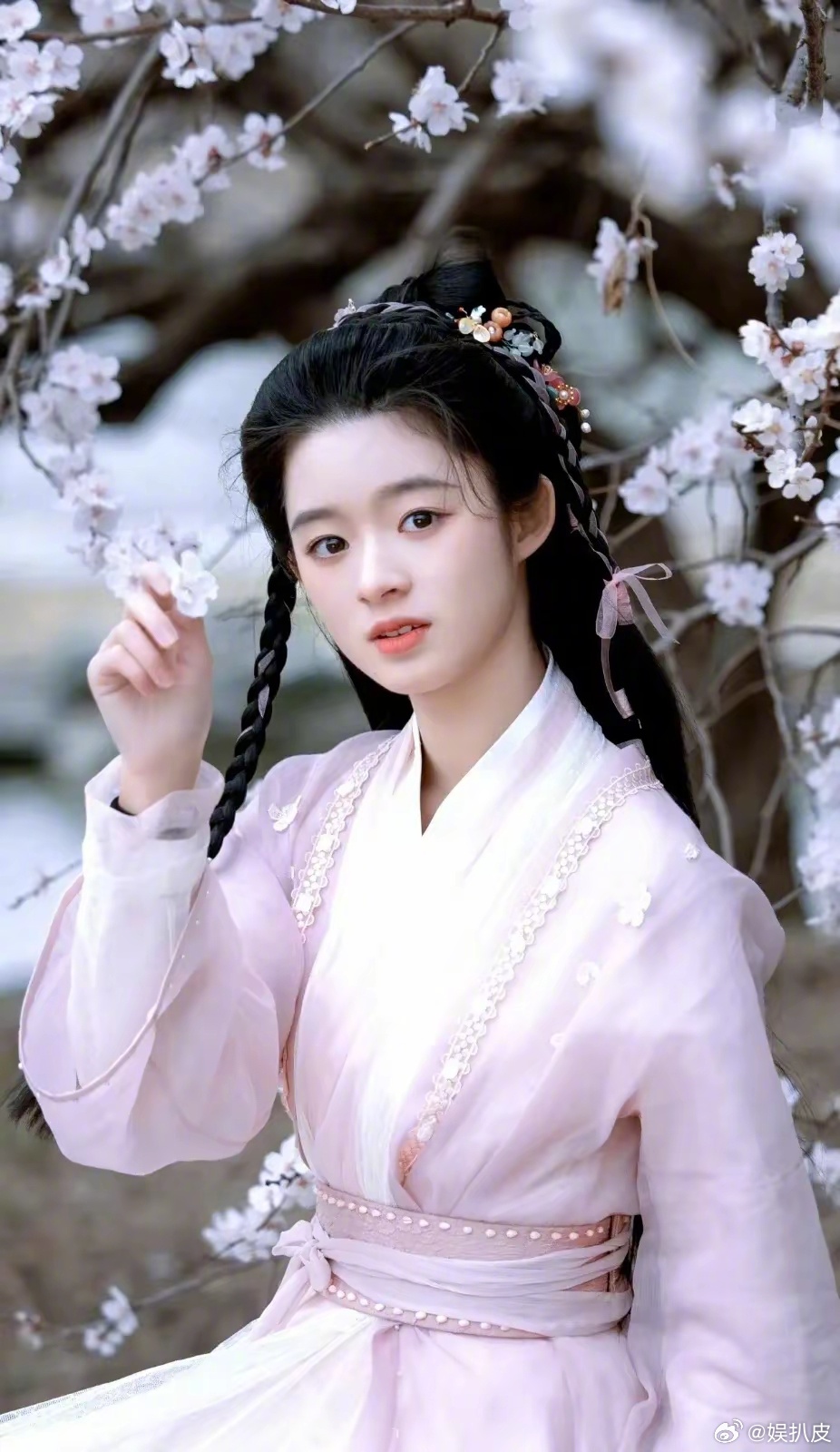 黄杨钿甜父亲经商细节仍需追问背后隐藏了什么不为人知的秘密？